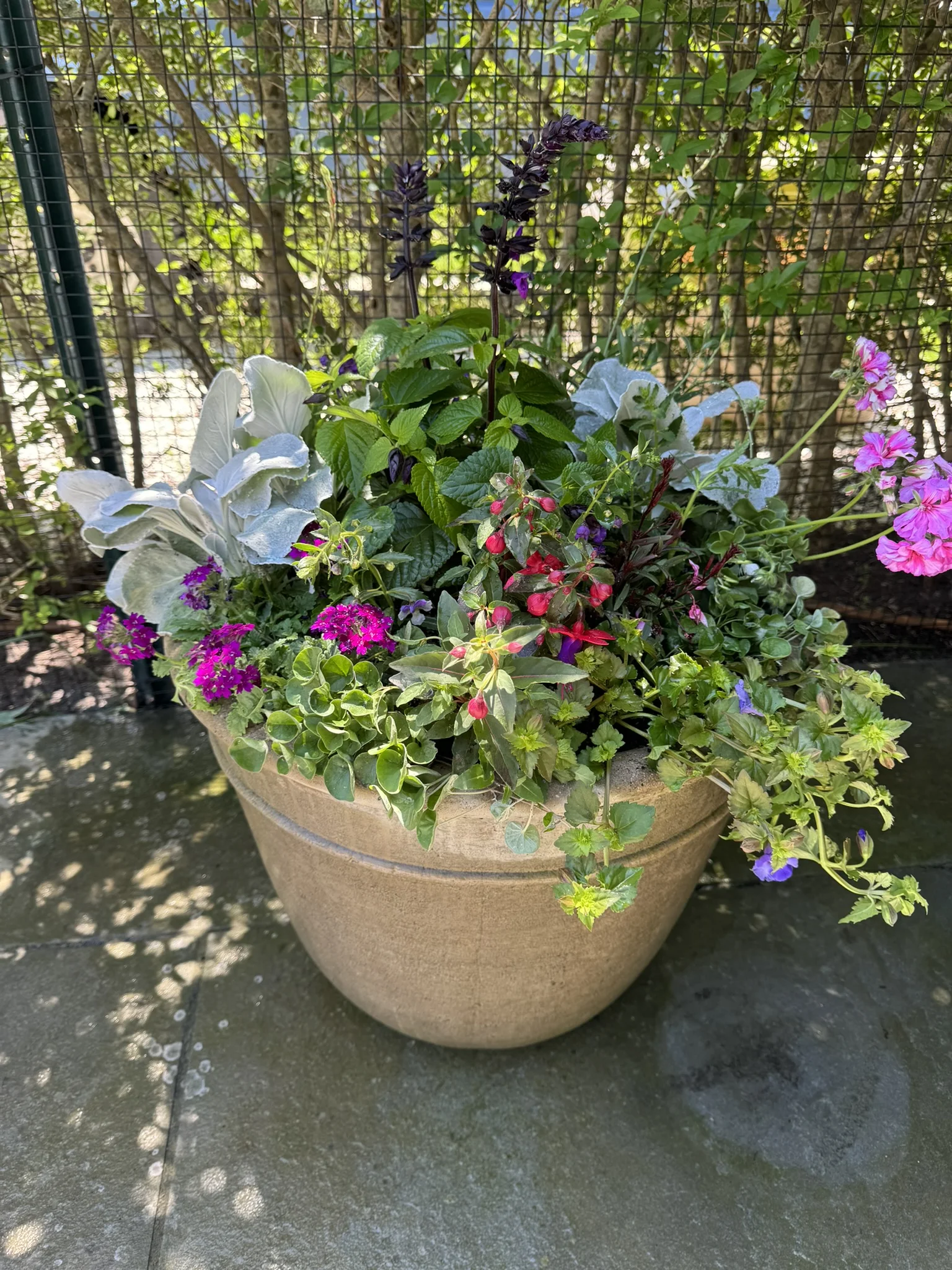 Mixed flower pot planter