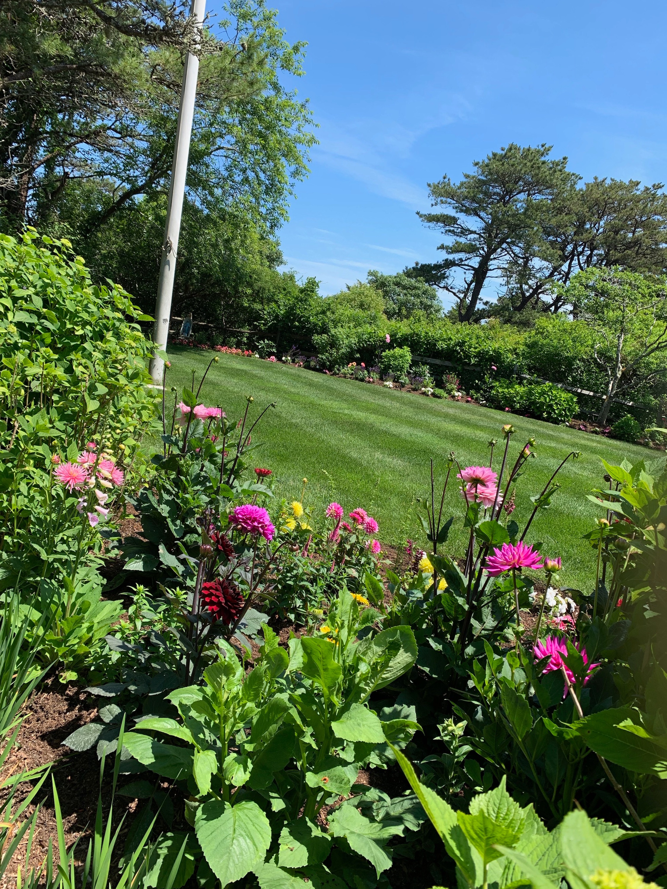 Garden on Nantucket