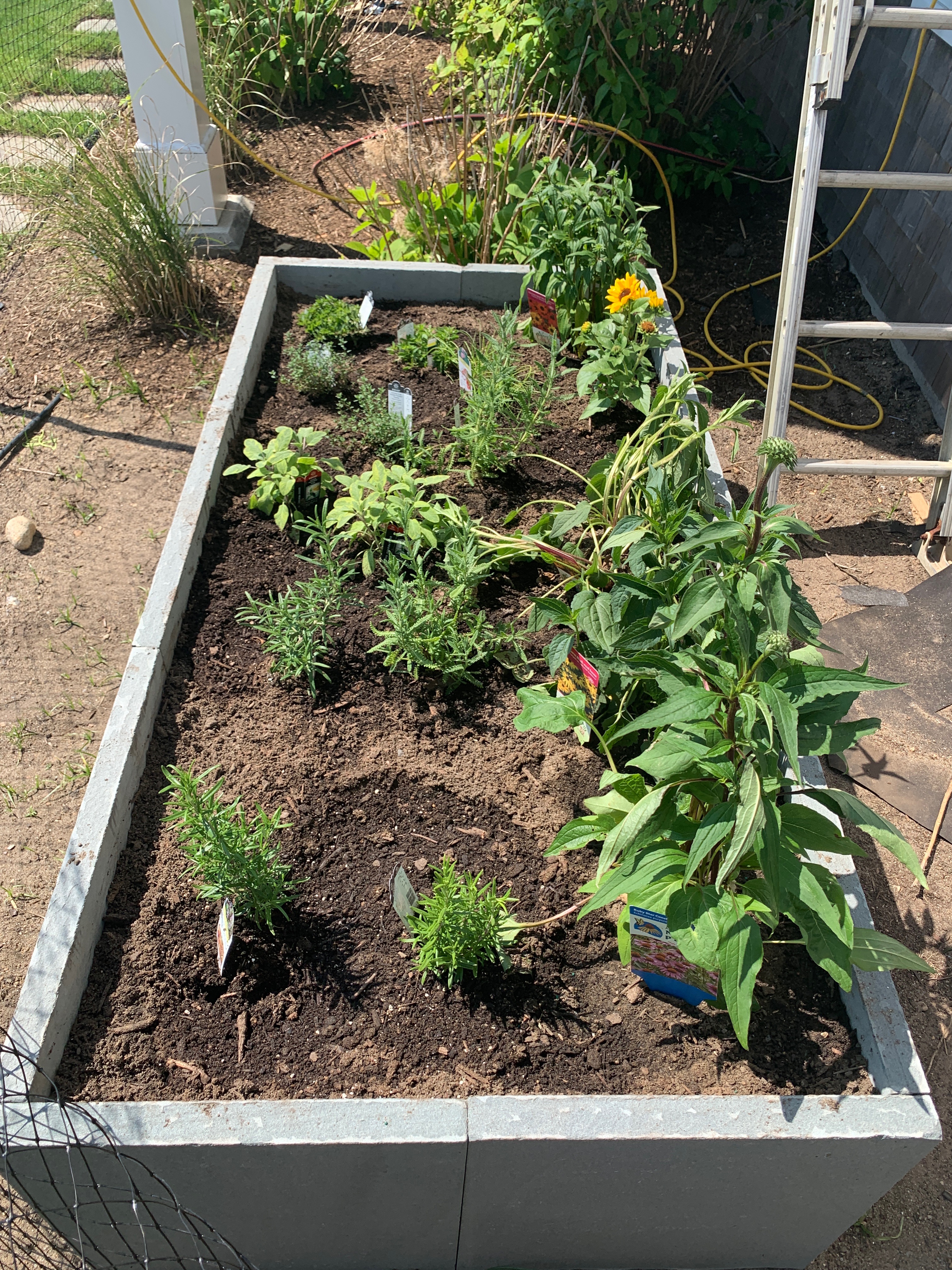 Garden landscaping on Nantucket