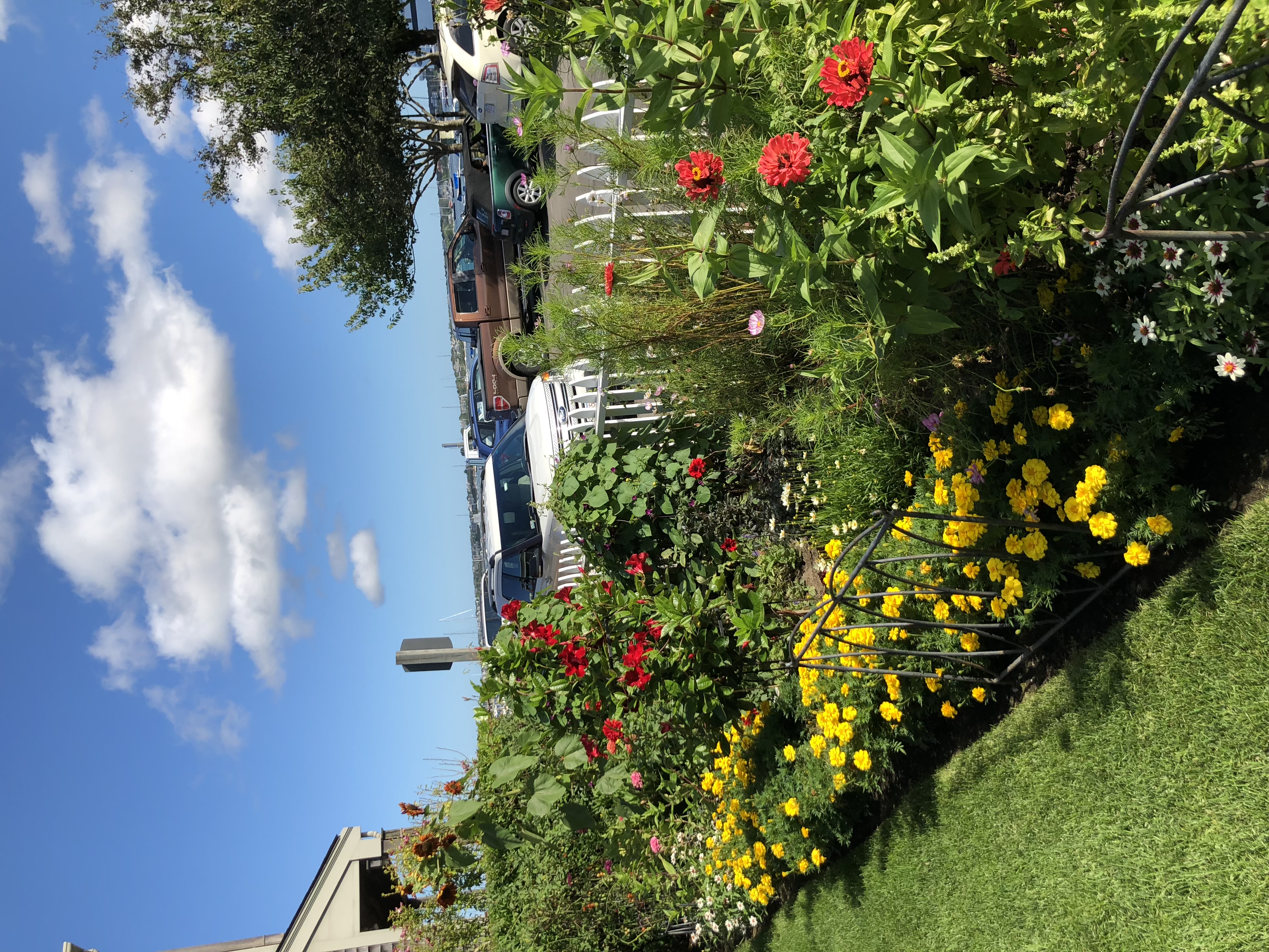 Colorful flower garden bed