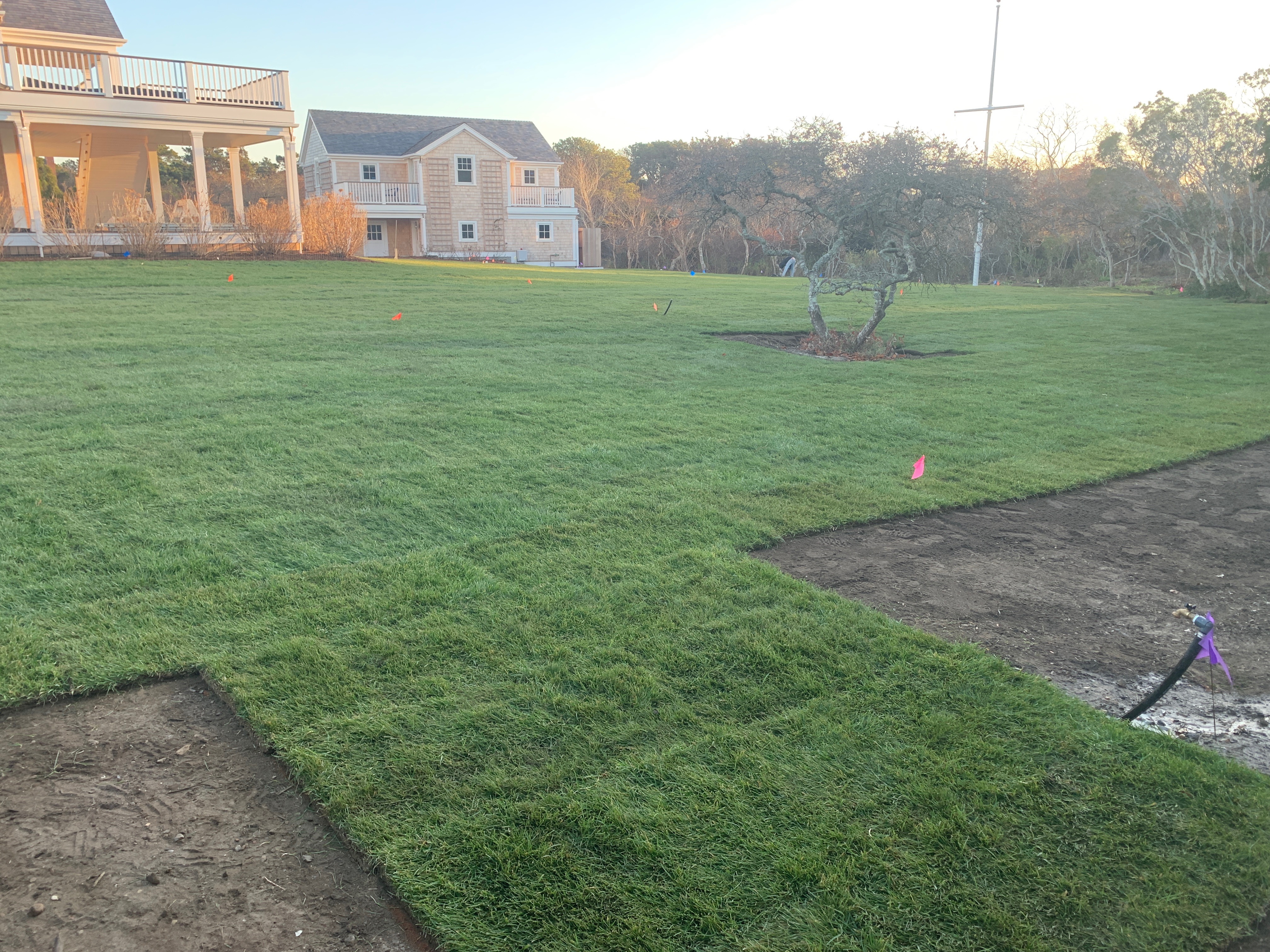 Sod installation on Nantucket