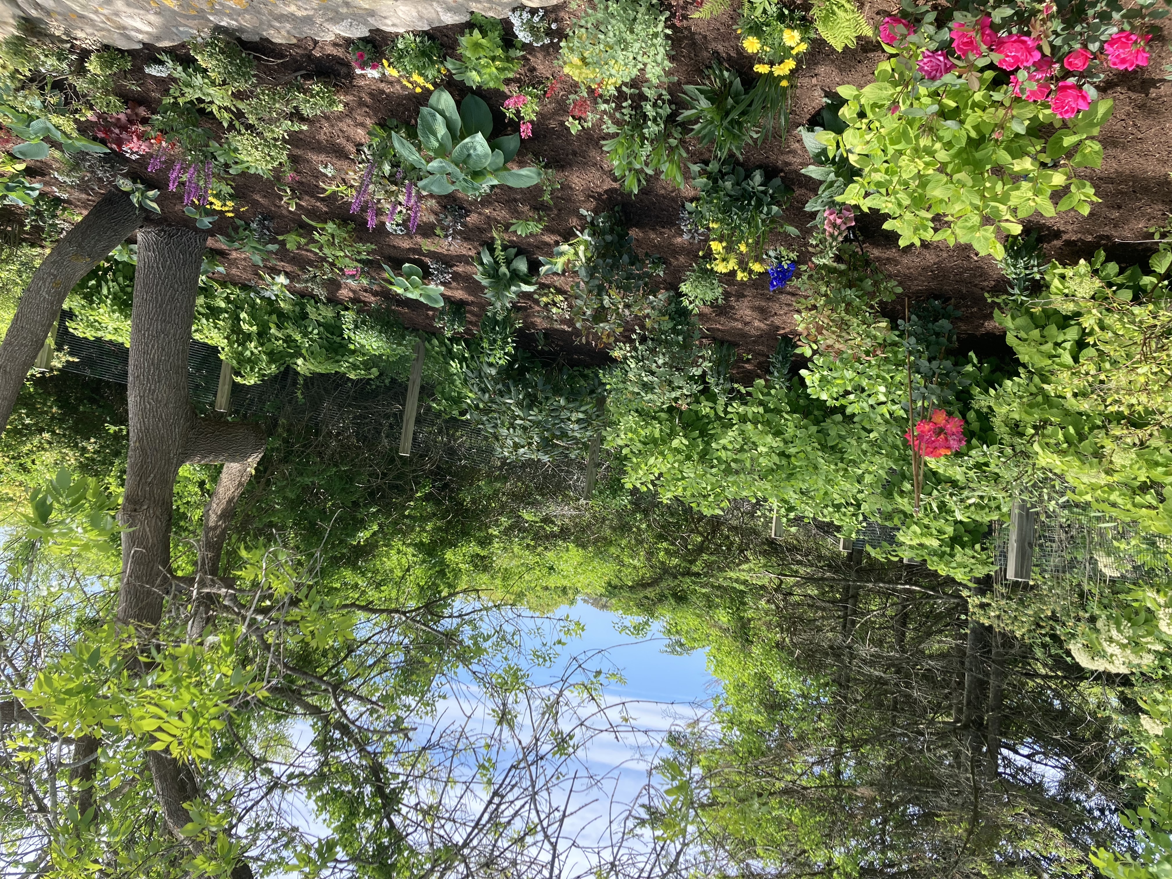 Spring planting on Nantucket